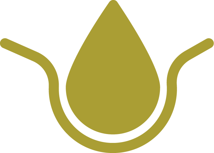 <strong>Lightweight moisturizers</strong> lock in hydration for a soft, balanced feel.